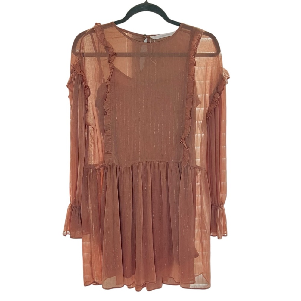 Zara • Chiffon Ruffle Mini Dress - Picture 3 of 5